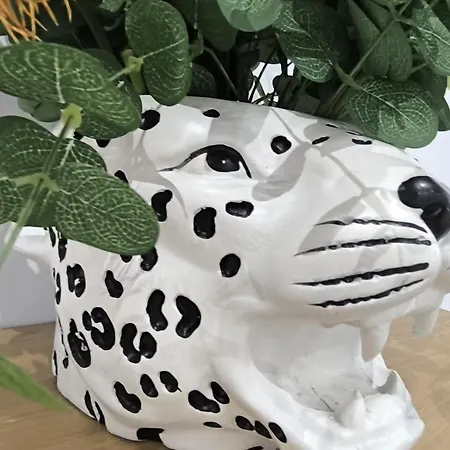 Magdalena, Pleno Centro * فيرول