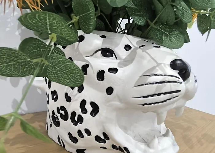 Magdalena, Pleno Centro * Ferrol